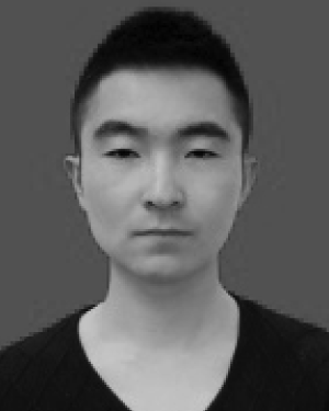 Qiang Zhang