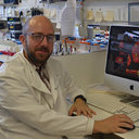 Stefano Bencivenga