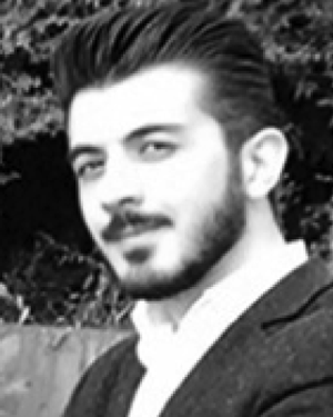 Musa N. Hamza