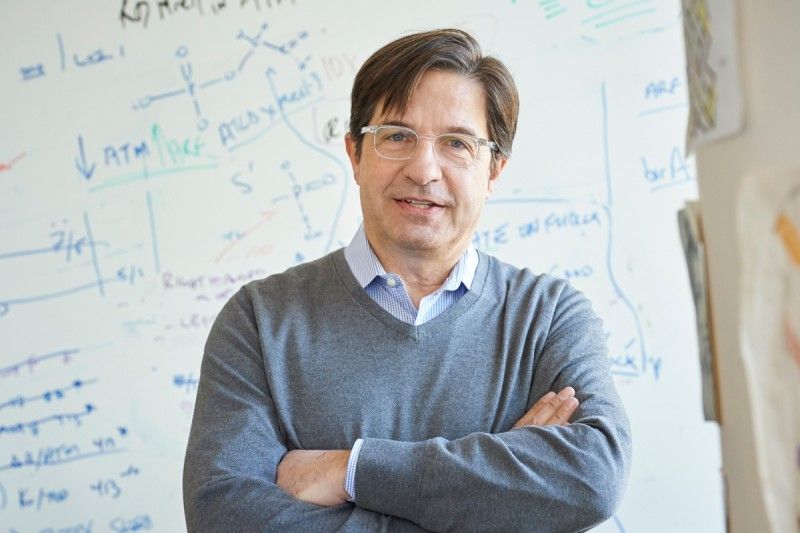 John Petrini