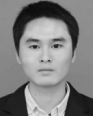 wentao li