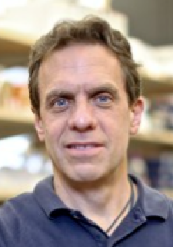 Christopher Vincent Nicchitta