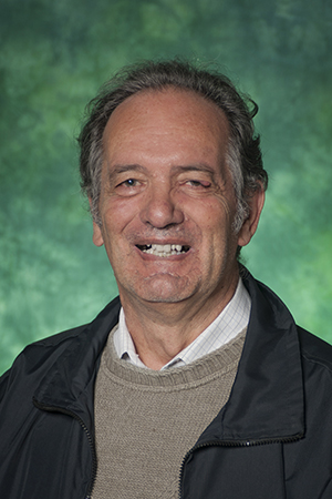 Paolo Grigolini