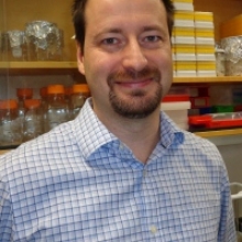 Kolja Eppert