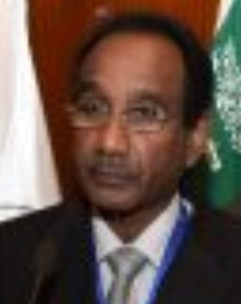 Salah Elsafi