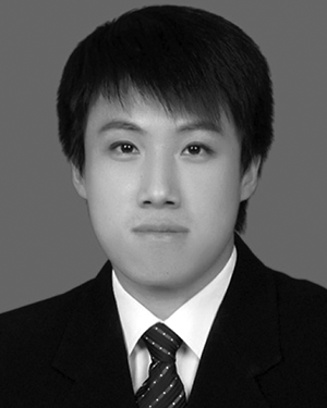 Siyu Lu