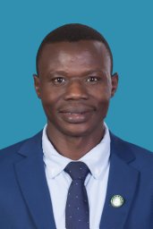 Mamoun A. Homaida