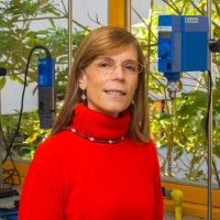 Andrea Gomez-Zavaglia