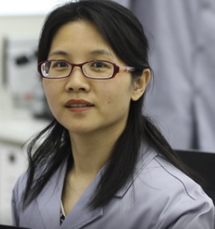 ChengLi Qi