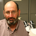 Bryan Stegelmeier