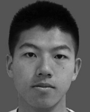 Qi Gao