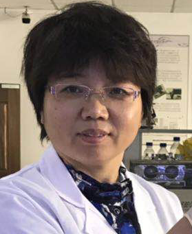 Dongrui Zhou