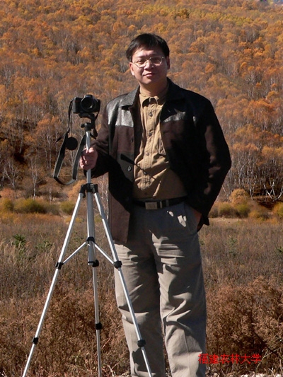 Jianwen Dong