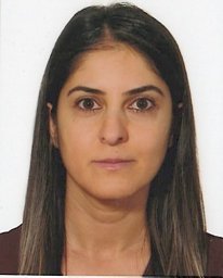 N. Akcay