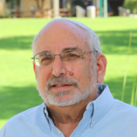 Rony Wallach