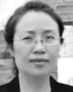 Baoyan Zhu