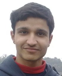 Paliwal, S.