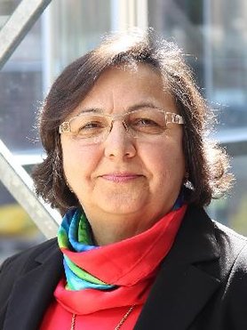 I. Sevil Sariyildiz