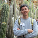 Yang Ping Lee