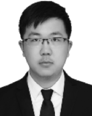 Liqun Wang