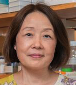 Jie Shen