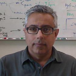Ramin Yadegari