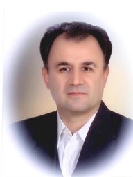 M. Salimi