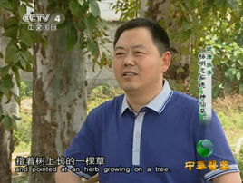 Mingzhi Yang
