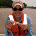 Kristy A. Kollaus