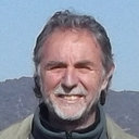 Marcelo H. Cassini