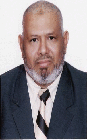 Mohamed Ahmed Moustafa Hassan