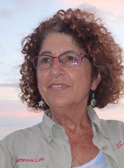 Shirley A. Pomponi