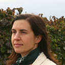 Joanna D Friesner