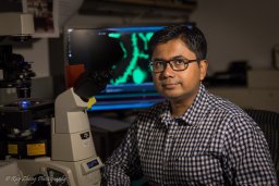 Goswami Debanjan