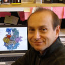 Ivan B Lomakin