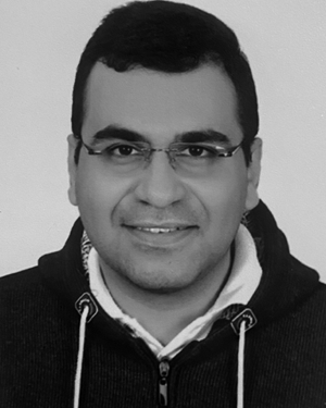 Mohammed A. Abdelghany