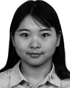 Lu Wei