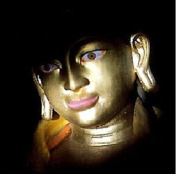 Debraj Roy