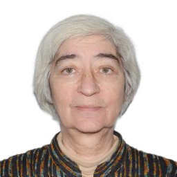 T. T. Glazko