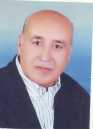 Mohamed A. Roshdy