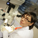 Ana M Palomar