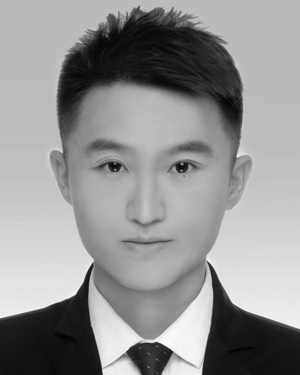 Meng Li