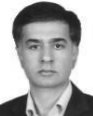 Mohammad M. Javidi