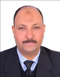 Harby E. Ahmed