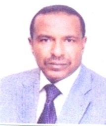 Chemeda Fininsa