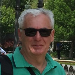 N. Mitrović