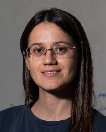Daniela A. L. Lourenco