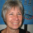 Gabriele Dekomien