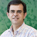 Nikolas Zouros