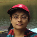 Palin Sil